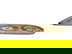item-211378487=3