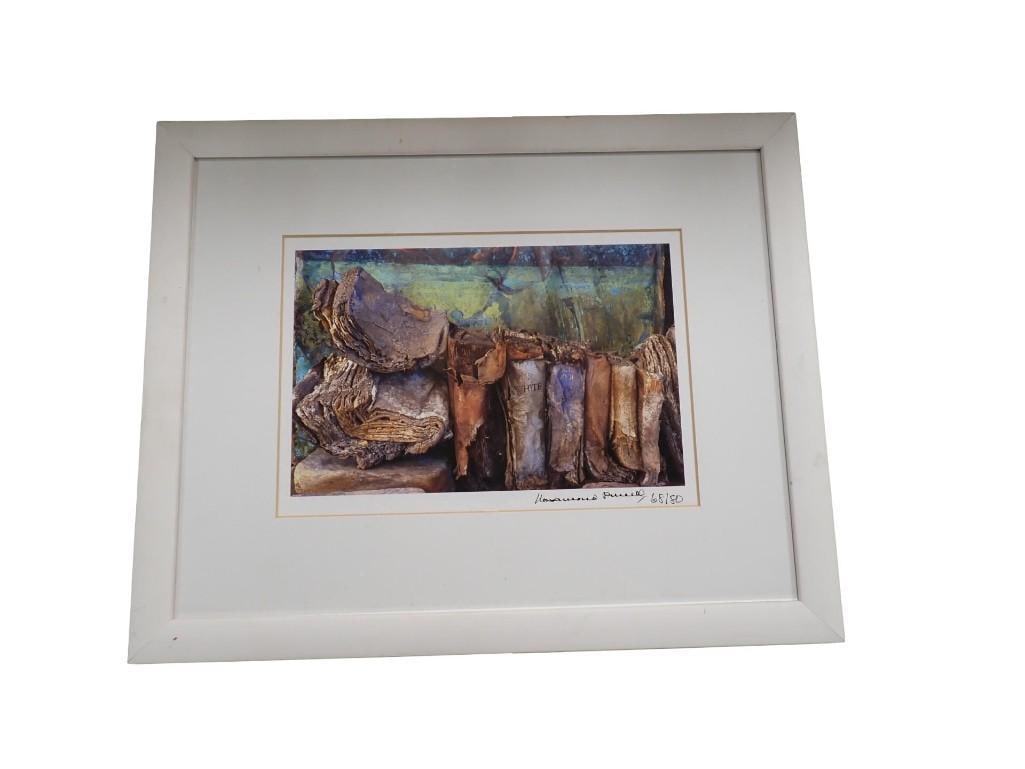 Rosamond Purcell (American b. 1942) Books Color Photograph Signed in Ink Lower Right and Numbered (1 of 4)