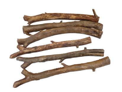 4 Rubber Sticks or Twigs Movie or TV Show Props plus 2 Wood Sticks: 4 Soft and Squishy Movie or TV Prop Sticks or Twigs Made of Rubber or Some Type of Synthetic Material and 2 Regular Wood Sticks  NO COA or Paperwork The consignor worked on multiple movies and TV show