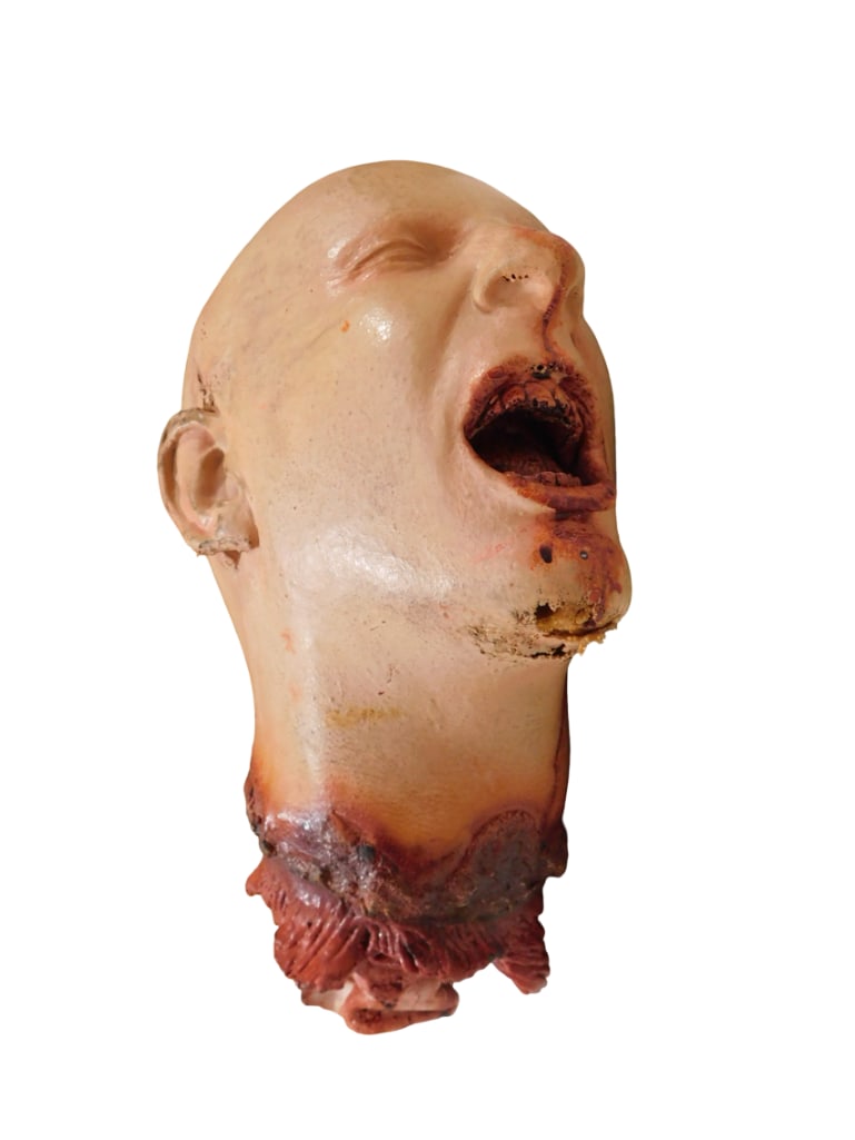 Movie or TV Prop Severed Head Horror Prop (1 of 6)