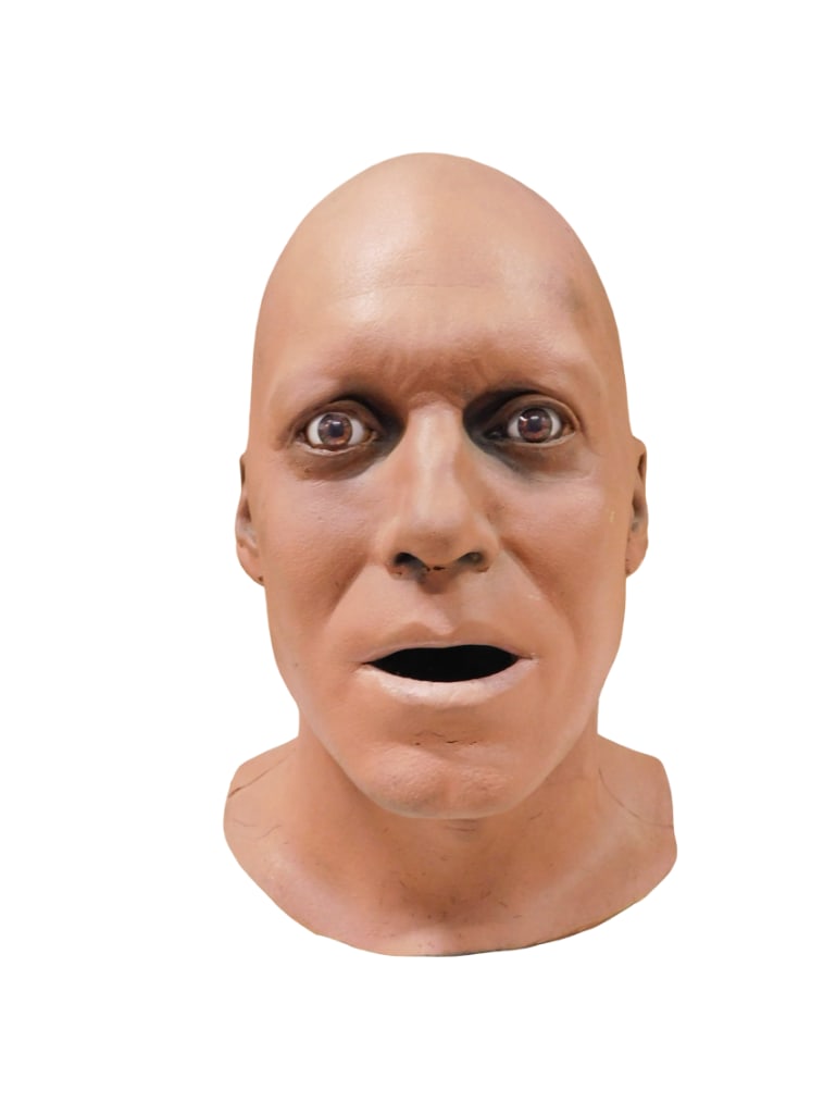 TV Show or Movie Prop Head Horror Prop (1 of 7)