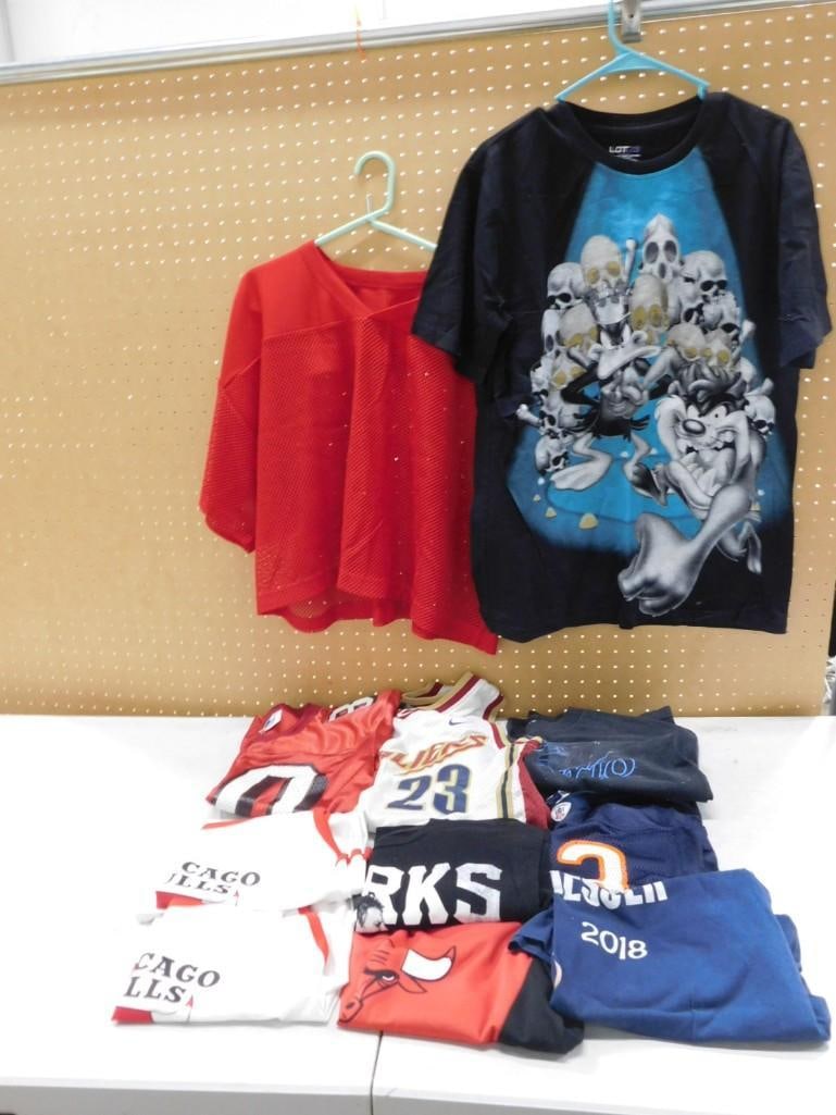 Sports Lot, etc. Including Chicago Bulls Shirts and Jersey, Bears, Cavaliers Lebron James, Dierks Be: Sports Lot, etc. Including Chicago Bulls Shirts and Jersey, Bears, Cavaliers Lebron James, Dierks Bentley, Rey Mysterio, Daffy Duck and Tasmanian Devil, etc. All pictures are considered part of the de