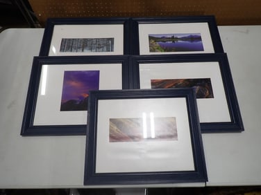 Set of 5 Framed Prints