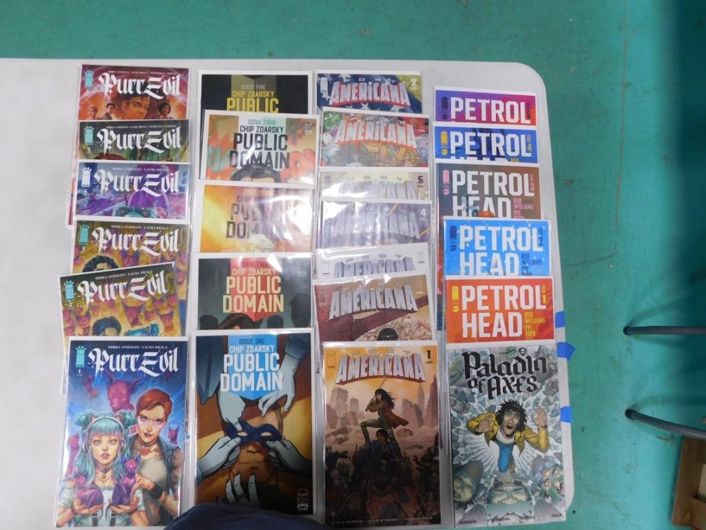 24 Comics incl Paladin Of Axes, Petrol Head, Post Americana, Public Domain, Purr Evil (1 of 3)