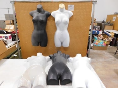 5 Hanging Type Torso Mannequins