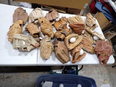 Large Lot of assorted Vintage Baseball Gloves / Mitts