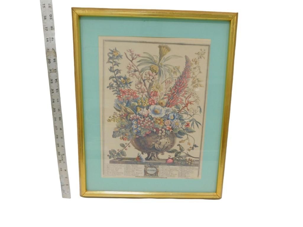 Framed Robert Furber Botanical December Print - Measures roughly 21x17" (1 of 7)