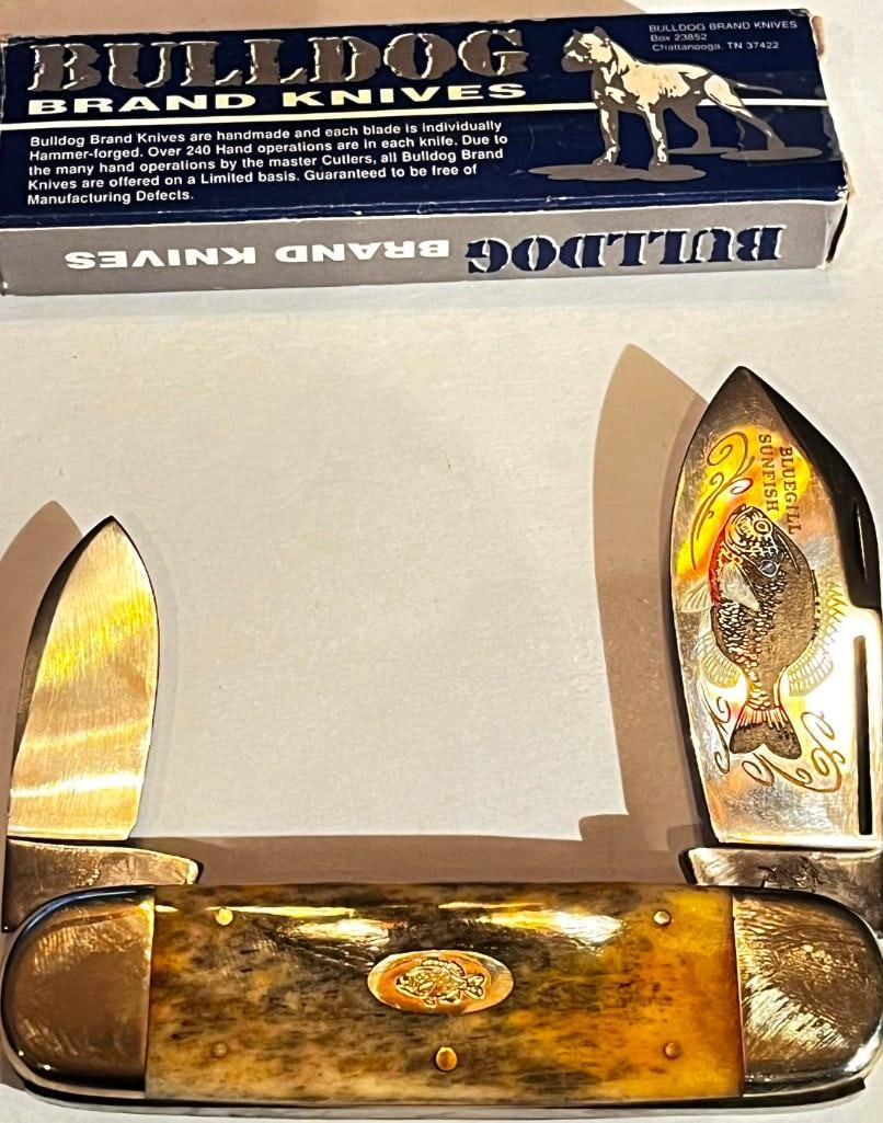 Bulldog Brand Bluegill Sunfish Elephant Toe 2 Blade Pocket Knife Solingen Germany 1 of 46 (1 of 9)