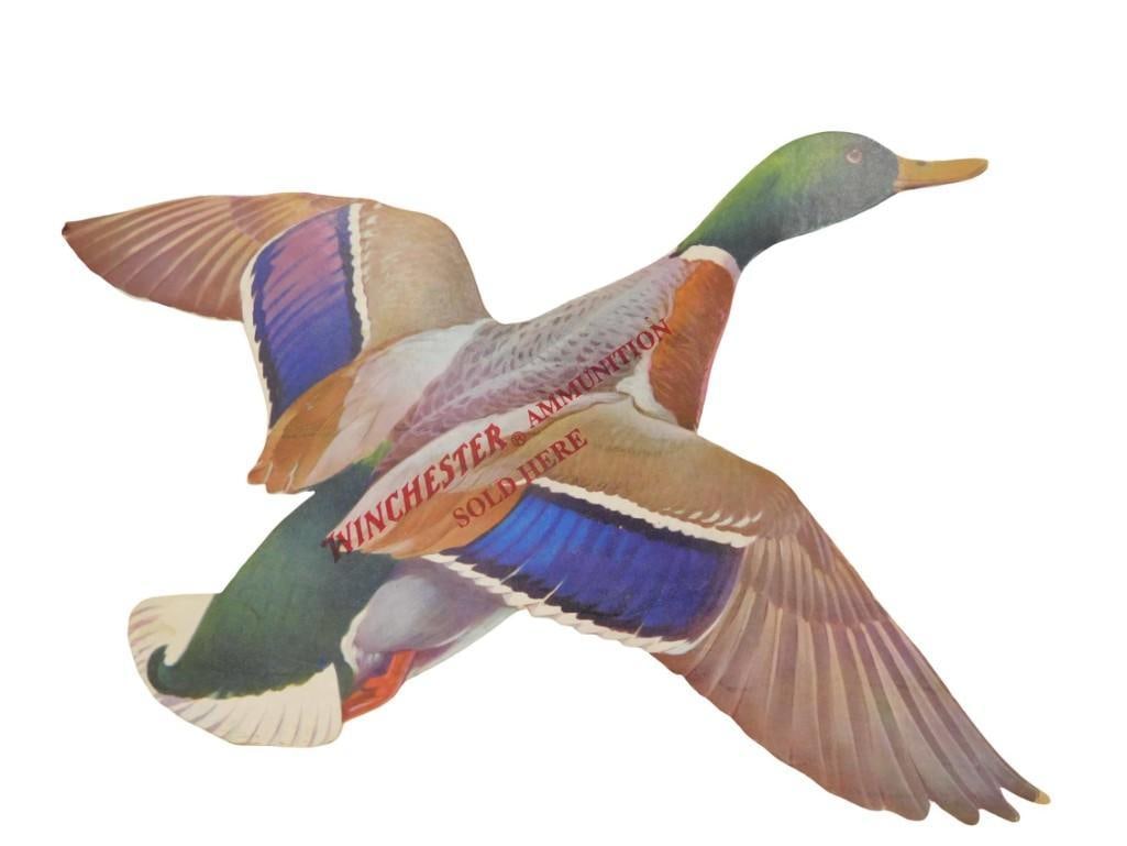 Vintage Winchester Ammunition Sold Here Cardboard Store Display Die Cut Mallard Duck: Vintage Winchester Ammunition Sold Here Store Display Die Cut Cardboard Mallard Duck All pictures are considered part of the description and should be examined carefully by bidders. Live Auctioneers