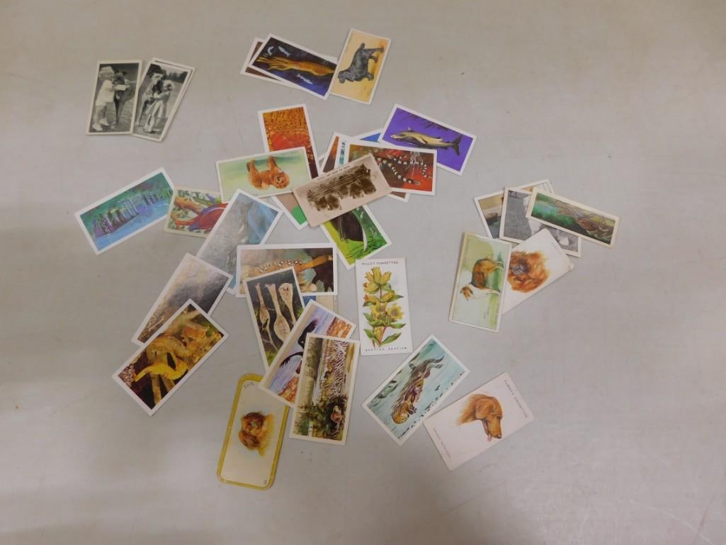 Lot of Vintage Trading Cards including Animals, Plants, etc: Lot of Vintage Trading Cards including Animals, Plants, etc All pictures are considered part of the description and should be examined carefully by bidders. Live Auctioneers is now offering Live