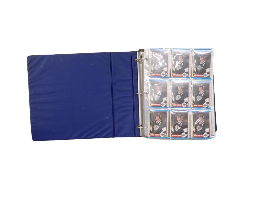 Binder of 300+ NHL Sports Cards Hockey Cards incl Hall of Fame, Rookies, Stars: Binder of 300+ NHL Sports Cards Hockey Cards incl Hall of Fame, Rookies, Stars All pictures are considered part of the description and should be examined carefully by bidders. Live Auctioneers i
