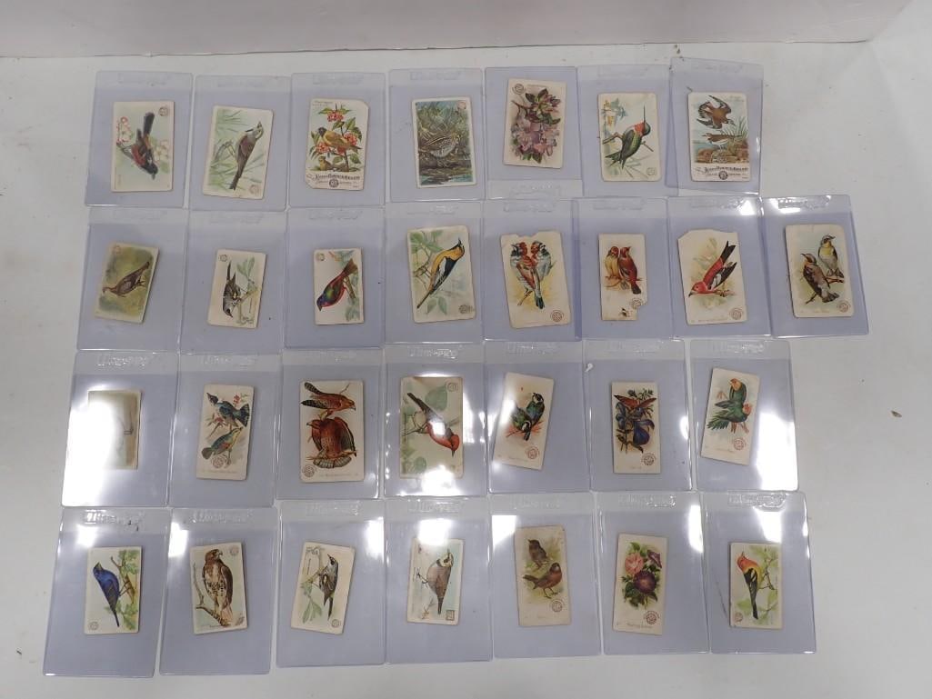 Vintage "Useful Birds of America" / Beautiful Birds Tobacco / Cigarette Trading Cards (1 of 11)
