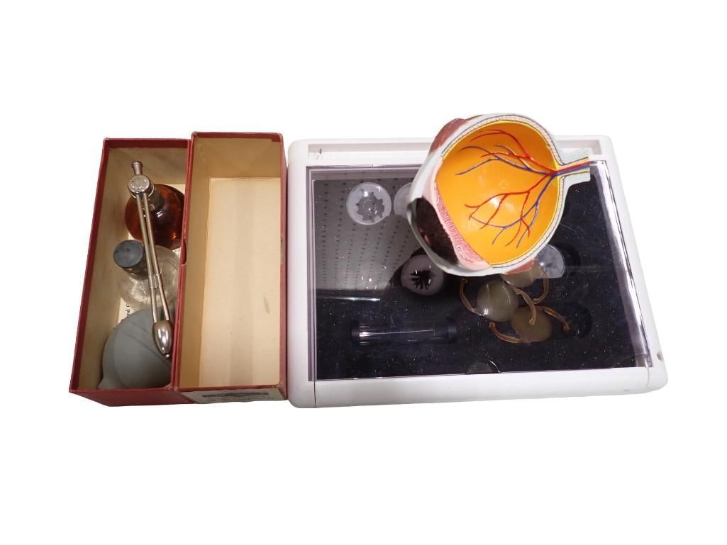 Anatomy Eye Model and DeVilbiss No 16 Vintage Medical Atomizer for Nose and Throat: Anatomy Eye Model and DeVilbiss No 16 Vintage Medical Atomizer for Nose and Throat in Original Box All pictures are considered part of the description and should be examined carefully by bidders. Live
