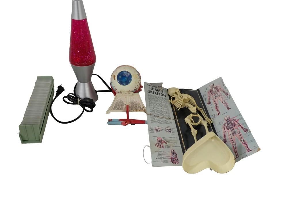 Misc. lot including Lava Lamp, Model Human Skeleton and Eyeball, Coin Storage Cases and Holder (1 of 6)