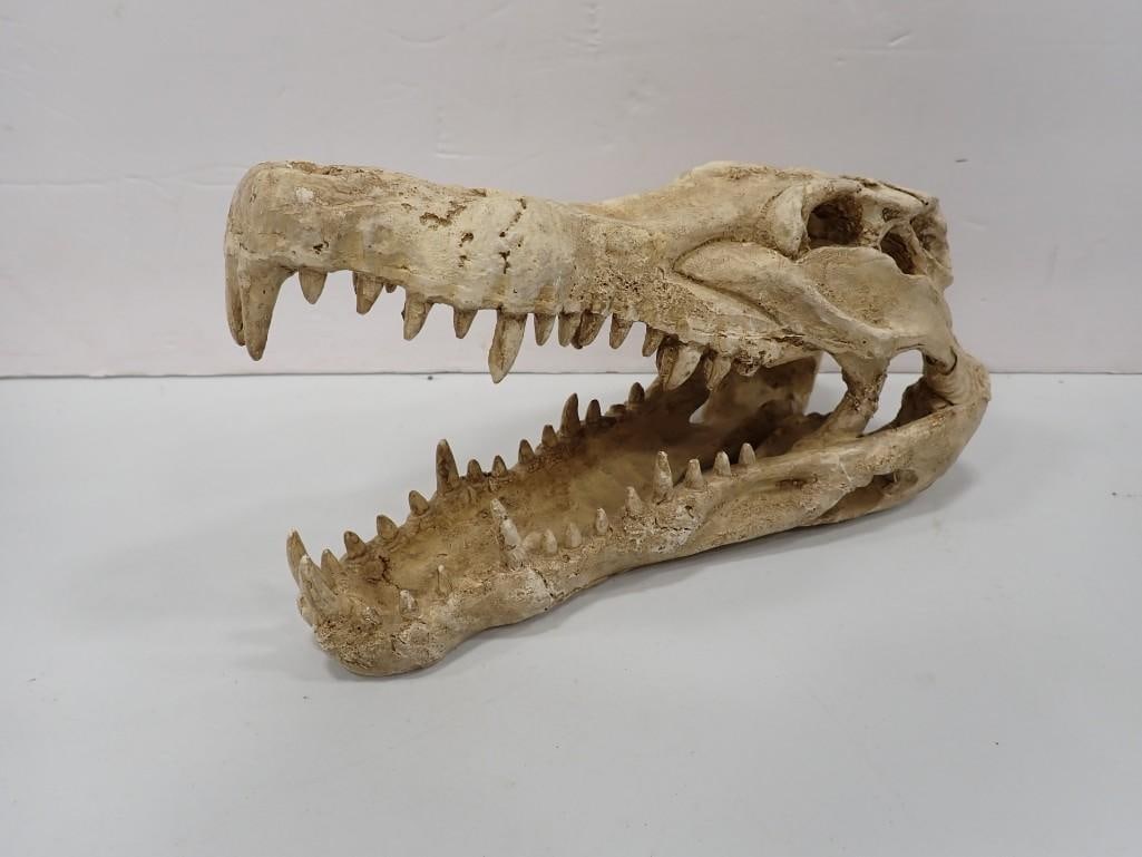 Resin Crocodile Skull for Aquariums or Biology Class or Whatever (1 of 7)