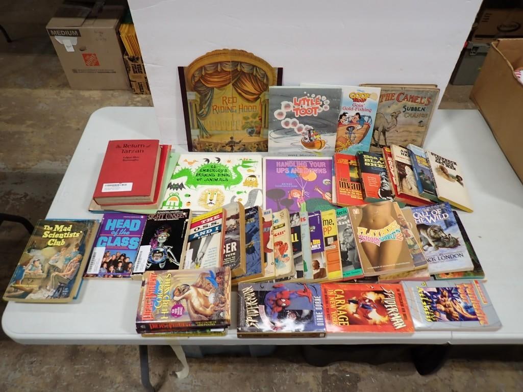 Book lot including Young Adult, Fantasy, Playboy, Spiderman, Fantastic Four, Walt Disney, Red Riding (1 of 13)