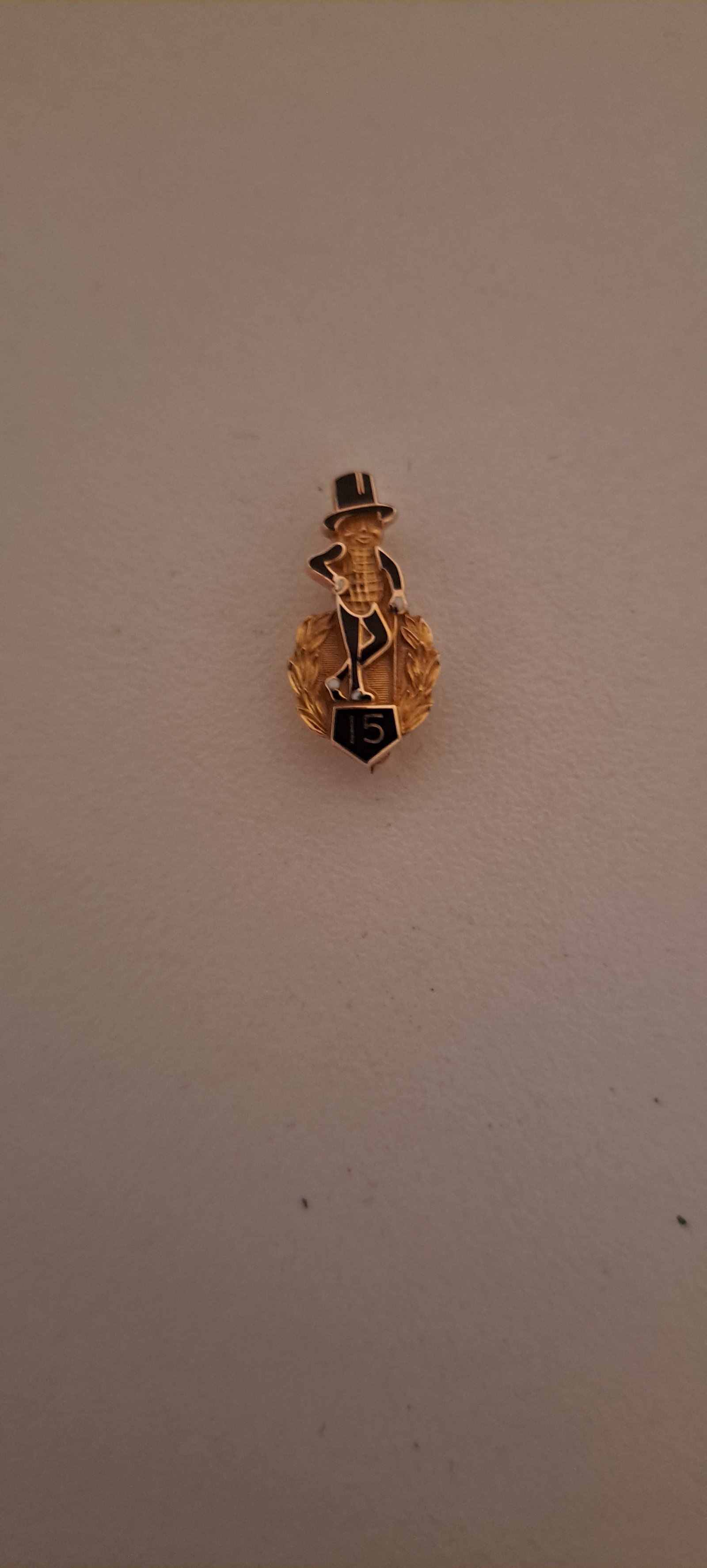 Planters Peanut 15 year service pin (1 of 3)