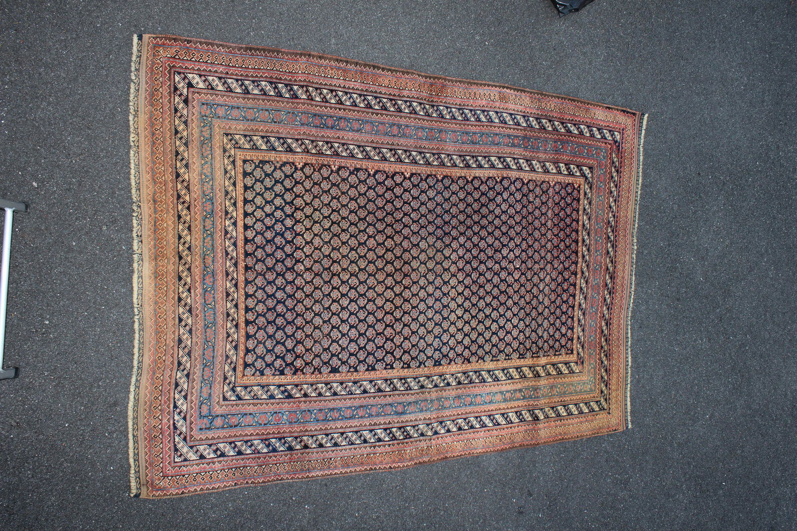 Afshar Rug (1 of 11)