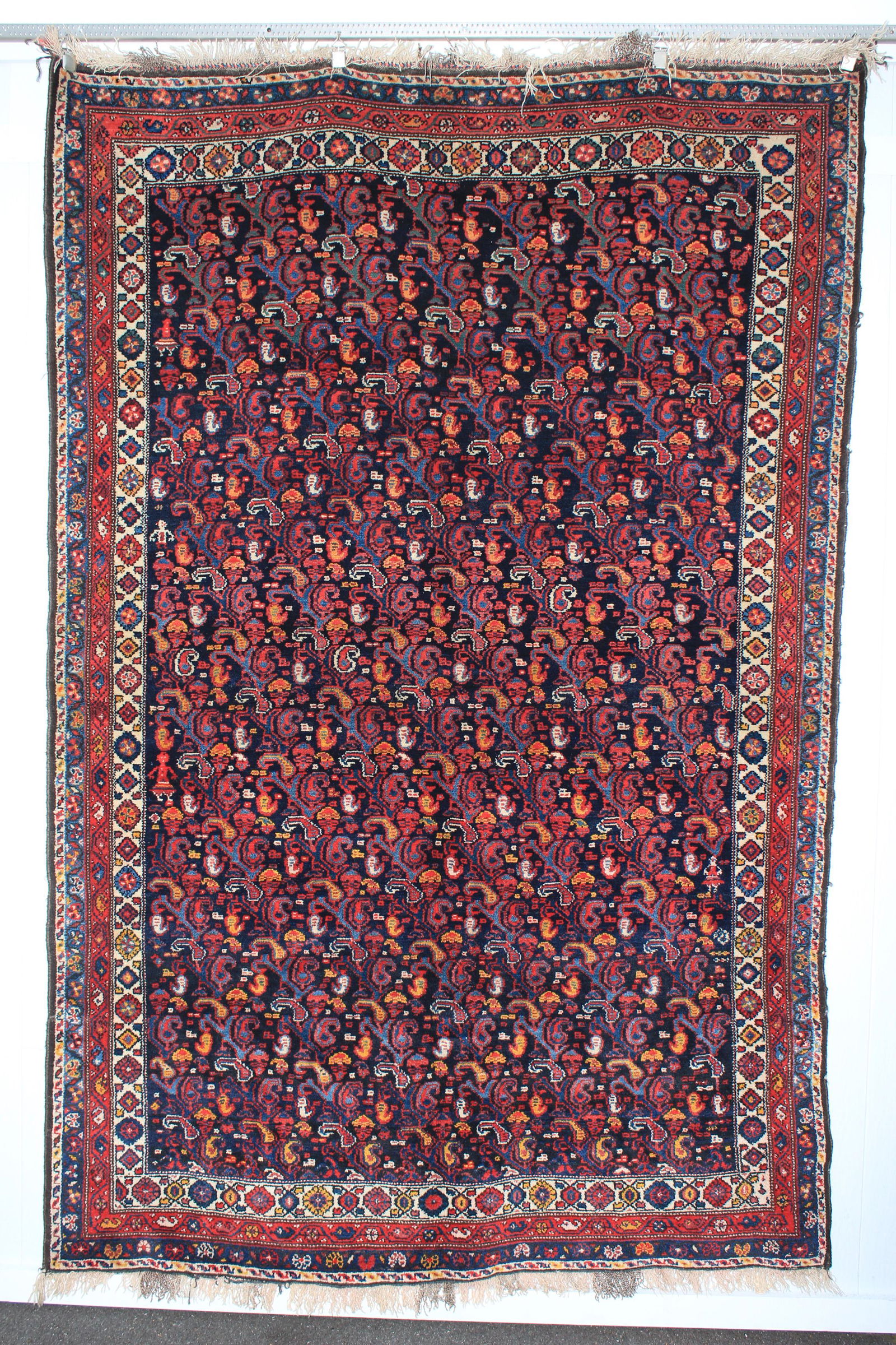 Luri Bakhtiari Rug (1 of 13)