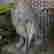 item-106259474=2