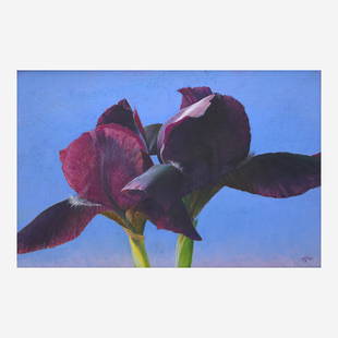 Aaron Shikler (American, 1922–2015) Iris (Double Little Blackfoot): Aaron Shikler (American, 1922–2015) Iris (Double Little Blackfoot) Signed and dated bottom right 'AAS '04', pastel on marble dust board19 1/2 x 29 1/2 in (49.5 x 74.9cm) Provenance