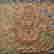 item-137119458=2