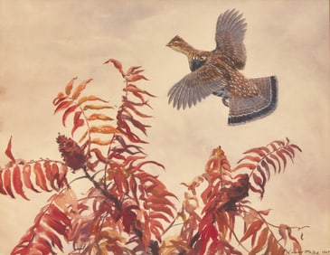 Aiden Lassell Ripley (American, 1896-1969) - Grouse and Sumac