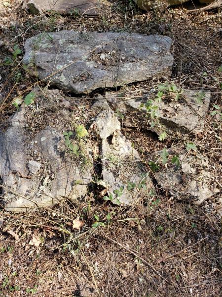 Lot of 22 misc wall stones, 4 pieces small granite (1 of 3)