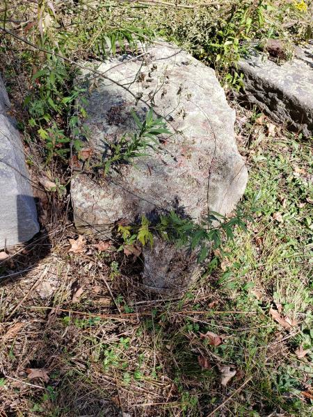 Granite Step, 63"x28"x8" thick: Granite Step, 63"x28"x8" thick