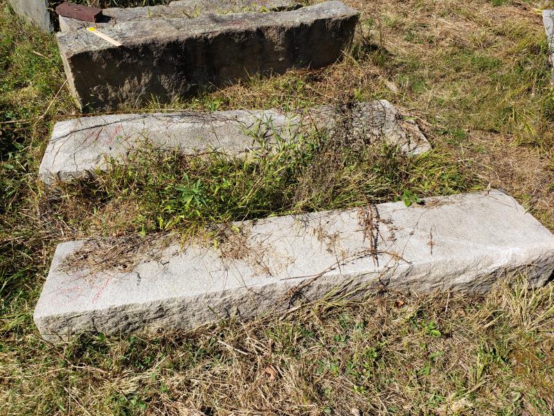 2 Granite Steps; 6'x20"x8": 2 Granite Steps; 6'x20"x8"