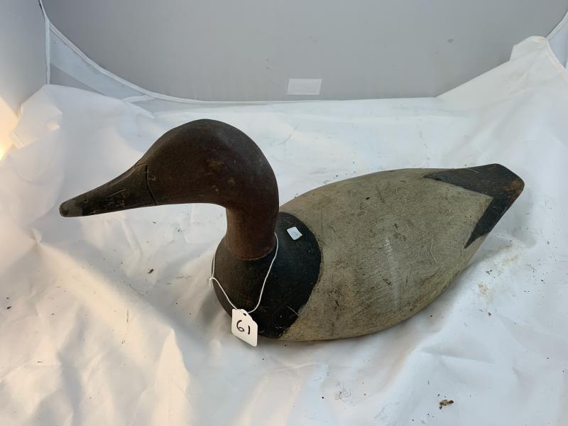 Canvas Back Drake, High Head, Canada, Bill Chewell, (1 of 9)