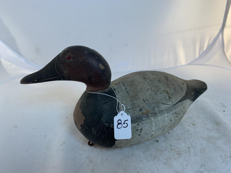 Canvas Back Drake, Mason Style, WI, Weight and Line (1 of 6)