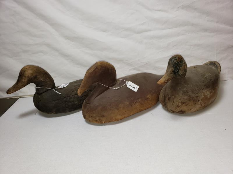 (3) Decoys (1 of 4)