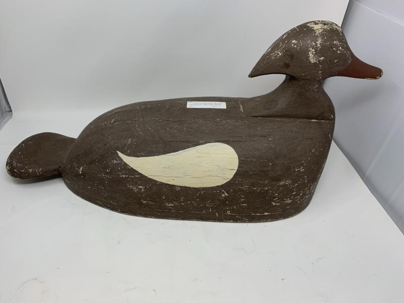 Mergenser Duck Decoy oversized, worn paint, some: oversized, worn paint, some cracks, 12 1/2" x 25 1/2" 10 1/2"