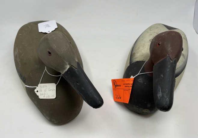 Pair of Canvas Back Duck Decoys: Pair of Canvas Back Duck Decoys
