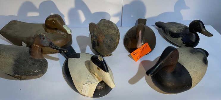 7 Duck Decoys, assorted, as is: 7 Duck Decoys, assorted, as is