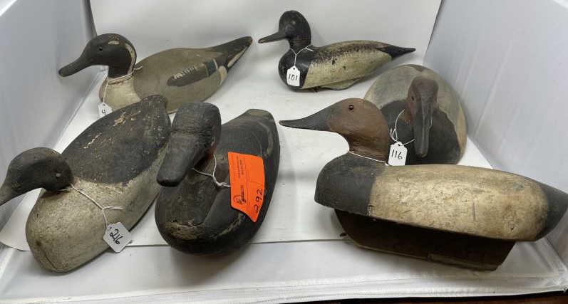 6 Duck Decoys assorted: (1) Factory Pintail drake with hunter working, repainted, weight removed, 16"x7"; (1) broad billed drake, origin unknown, weighted, 15"X7"; (2) Canvas Back Drakes, one has keel plus weight & one missi