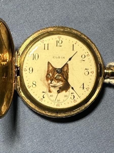 Elgin Pocket Watch, cat design on dial, warranted: Elgin Pocket Watch, cat design on dial, warranted 20 years, size 8, stem windUnless You Are A Liveauctioneers Premium Bidder This Lot Must Be Paid For By Cash, Bank Check or Wire Transfer.