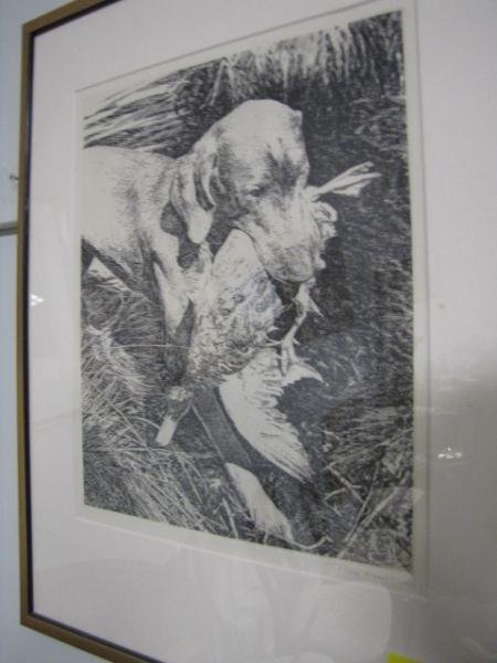 Etching, Dog w/ Duck, Signed Lower Right Philip Ka: Etching, Dog w/ Duck, Signed Lower Right Philip Kappel, Framed Under Glass, 12 1/2" x 10"