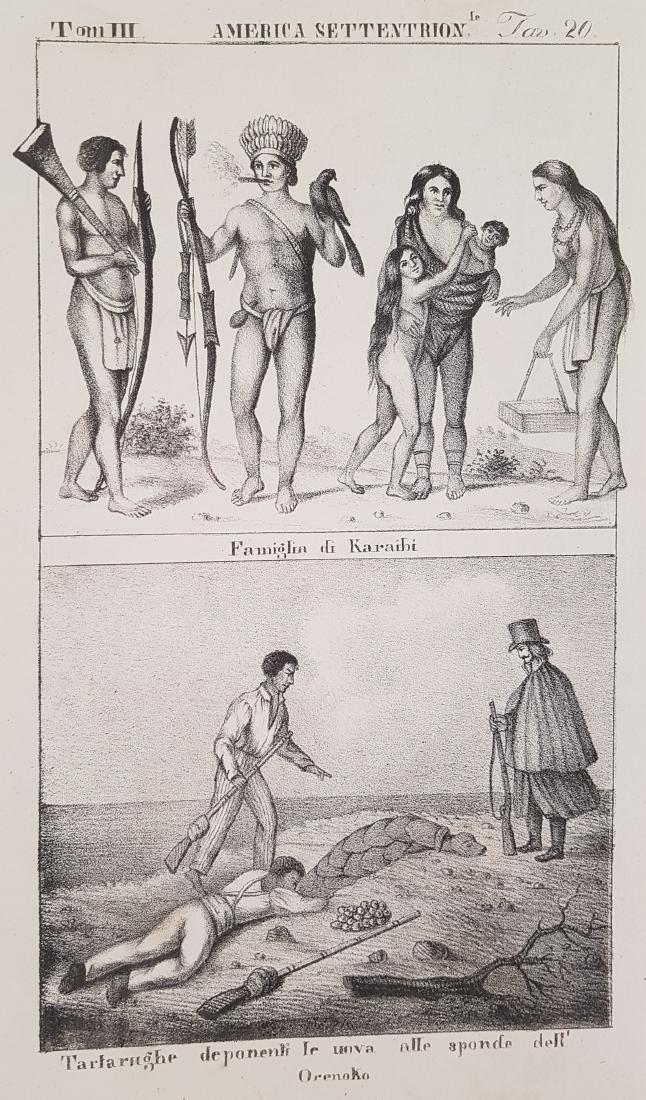 Caribbean Turtles Orinoco River Venezuela 1840: FAMIGLIA DI KARAIBI TARTARUGHE DEPONENTI LE UOVA ALLE SPONDE DELLâ€™ORENOKO Beautiful print of 1840 circa featuring a family from Caribbean. Turtles laying eggs in Orinoco River. Date: 1840 circa