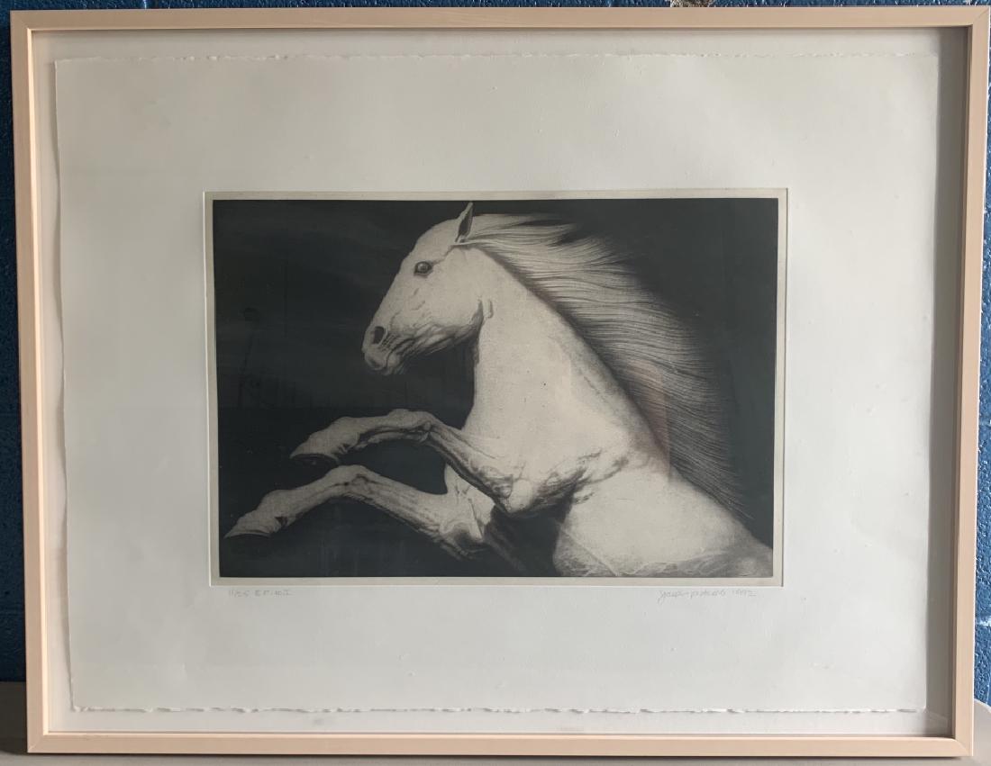 Joseph Piccillo Framed and Signed Lithograph: Joseph Piccillo, American, E.P. #1, Signed 11/25 on left corner, Pencil Signed on right corner, 1992 Lithograph 19" x 12.5" Frame 33" x 26"