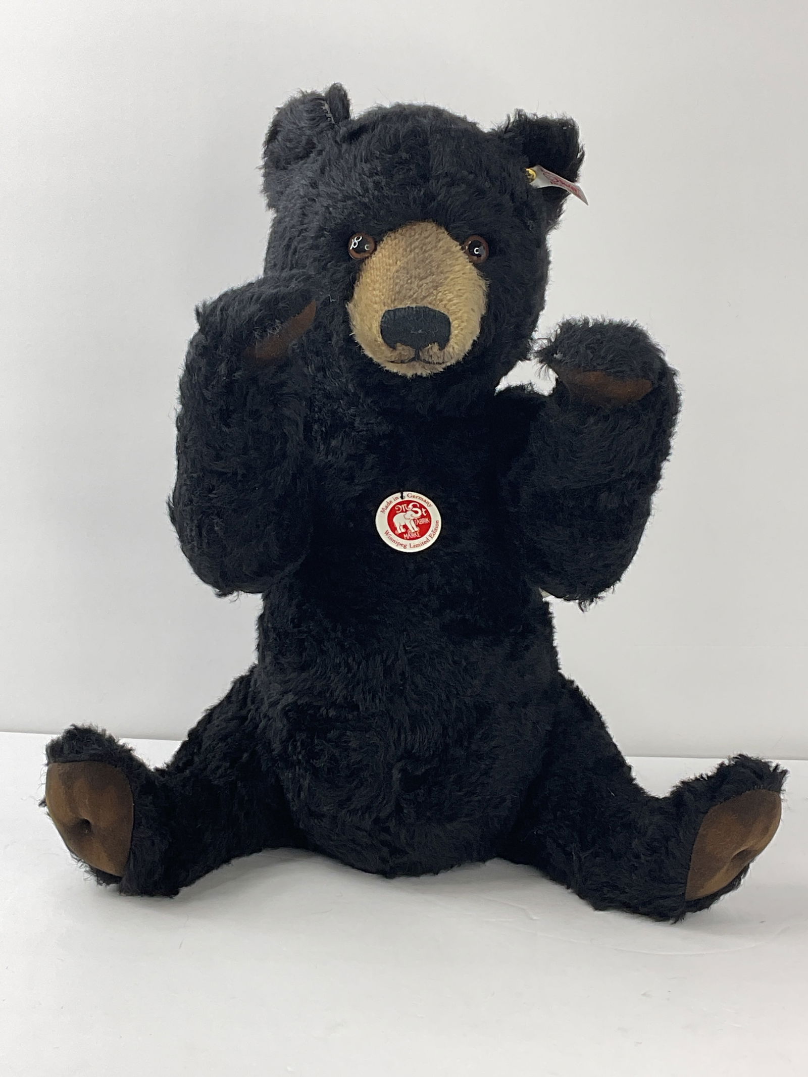 STEIFF 664700 BLACK TEDDY BEAR 14" Limited Edition of only 1500 91/1500 (1 of 10)