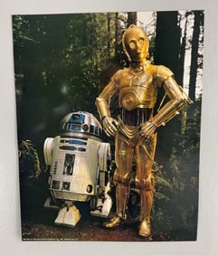 Return of the Jedi R2D2 and C3PO Lobby Card/Poster 1983 - 16" by 20" Lucasfilm