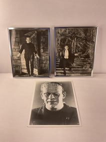 Pair of Framed HORROR ICONS Frankenstein and Dracula Black and White 10.25" by 8.50"
