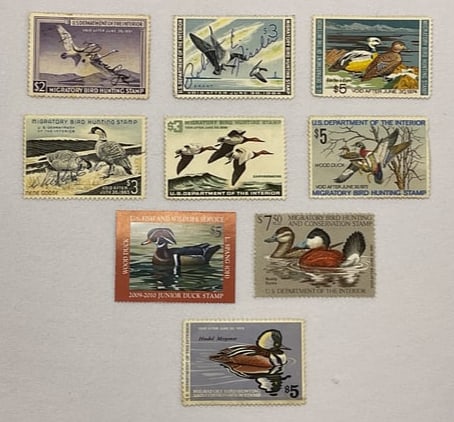 US MIGRATORY BIRD HUNTING STAMPS Collection 1951-2009/10 US Dept of Interior (1 of 6)