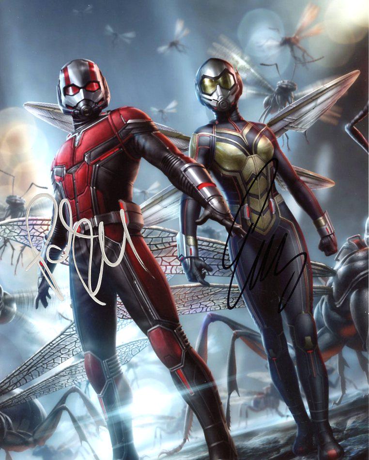 Paul Rudd / Evangeline Lilly ANT-MAN & THE WASP In: Paul Rudd / Evangeline Lilly in person signed autographed photo from the movie ANT-MAN AND THE WASP. Paul Rudd as the character Scott Lang. Evangeline Lilly as the character Hope Van Dyne. Photo size 