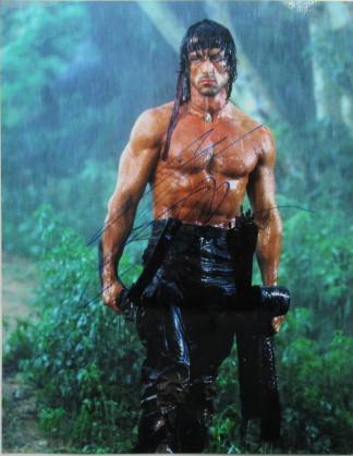 Sylvester Stallone 11 x 14 RAMBO In Person Signed Photo: PLEASE NOTE: Size of this photo is 11 x 14.Sylvester Stallone in person signed autographed photo from the movie RAMBO