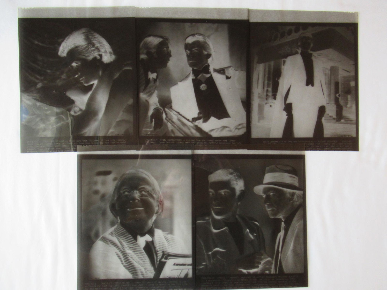 5 Original LOVE AT FIRST BITE Movie Photo Negatives: RARE and Hard to find are the original negeatives used to make the 8x10 press stills. These are from the George hamilton movie LOVE AT FIRST BITE