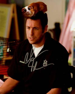 Adam Sandler BEDTIME STORIES In Person Signed Photo: Photo size is 8x10. Adam Sandler in person signed photo from the movie BEDTIME STORIES. Adam Sandler as the character Skeeter Bronson.