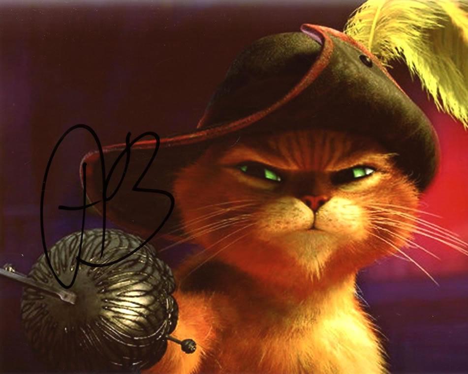 Antonio Banderas SHREK In Person Signed Photo: Photo size is 8x10. Antonio Banderas in person signed autographed photo from one of the SHREK movies. Antonio Banderas as the character Puss in Boots.